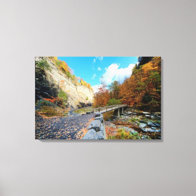 Taughannock Falls State Park Canvastryck (Framsida)