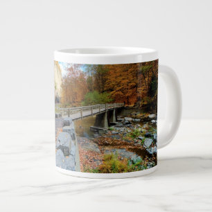 Taughannock Falls State Park Jumbo Mugg