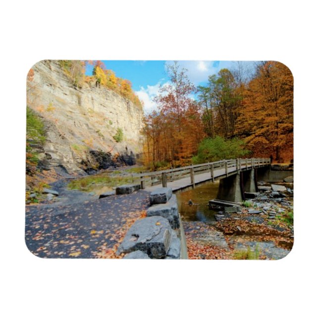 Taughannock Falls State Park Magnet (Horisontell)
