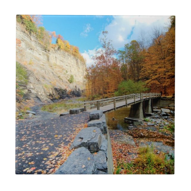 Taughannock nedgångdelstatspark kakelplatta (Framsidan)