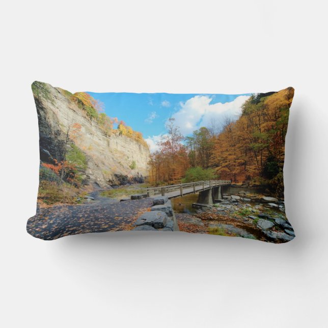 Taughannock nedgångdelstatspark lumbarkudde (Framsida)