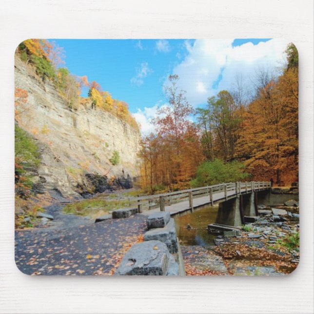 Taughannock nedgångdelstatspark musmatta (Framsidan)
