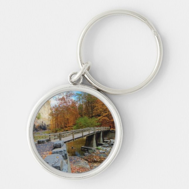 Taughannock nedgångdelstatspark rund silverfärgad nyckelring (Framsidan)