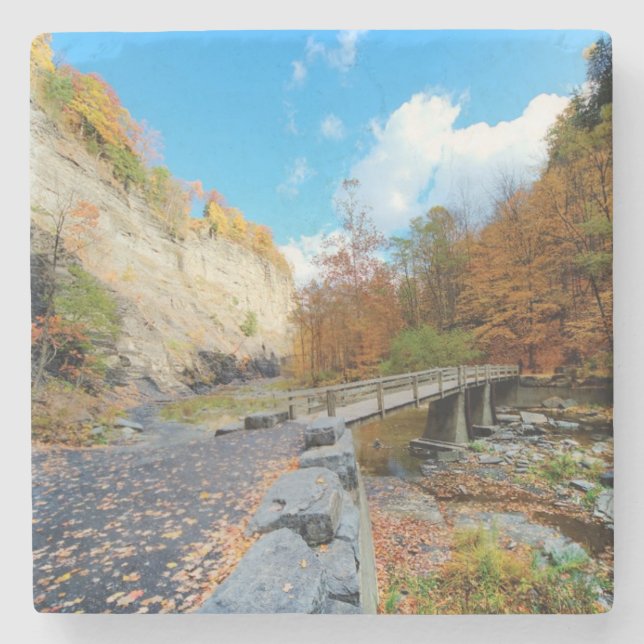 Taughannock nedgångdelstatspark underlägg sten (Framsidan)