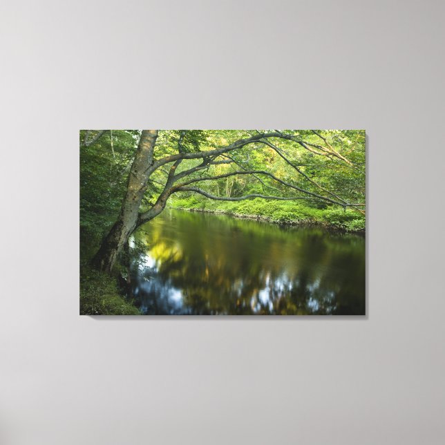 Tauntonfloden i Bridgewater, Canvastryck (Framsida)