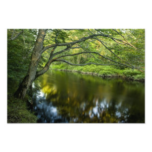 Tauntonfloden i Bridgewater, Fototryck