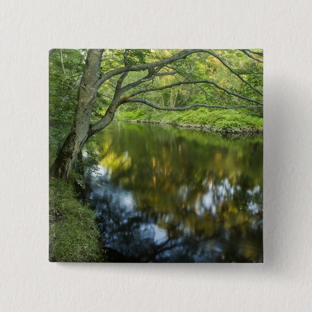 Tauntonfloden i Bridgewater, Knapp (Framsida)