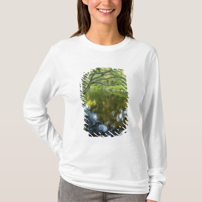 Tauntonfloden i Bridgewater, Tee Shirt (Framsida)