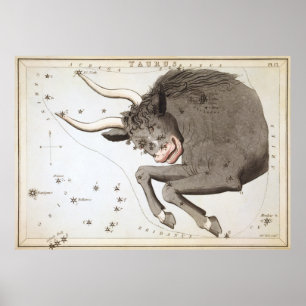 Taurus Astrological Teckning Poster