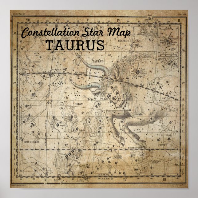 Taurus Bull Constellation Star Karta May Poster (Framsidan)
