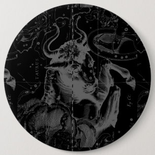 Taurus Constellation Hevelius 1690 Decor Knapp