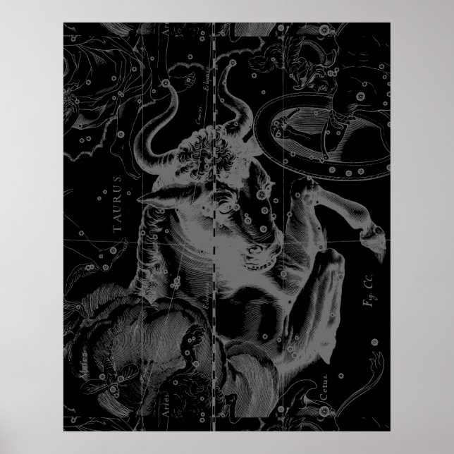 Taurus Constellation Hevelius 1690 Decor Poster (Framsidan)