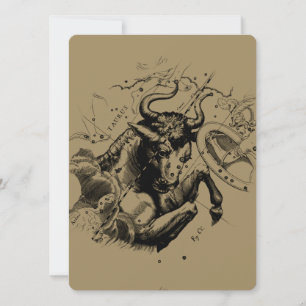 Taurus Constellation Hevelius 1690 Engrave