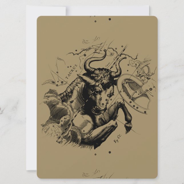 Taurus Constellation Hevelius 1690 Engrave (Framsida)