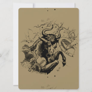Taurus Constellation Hevelius 1690 Engrave