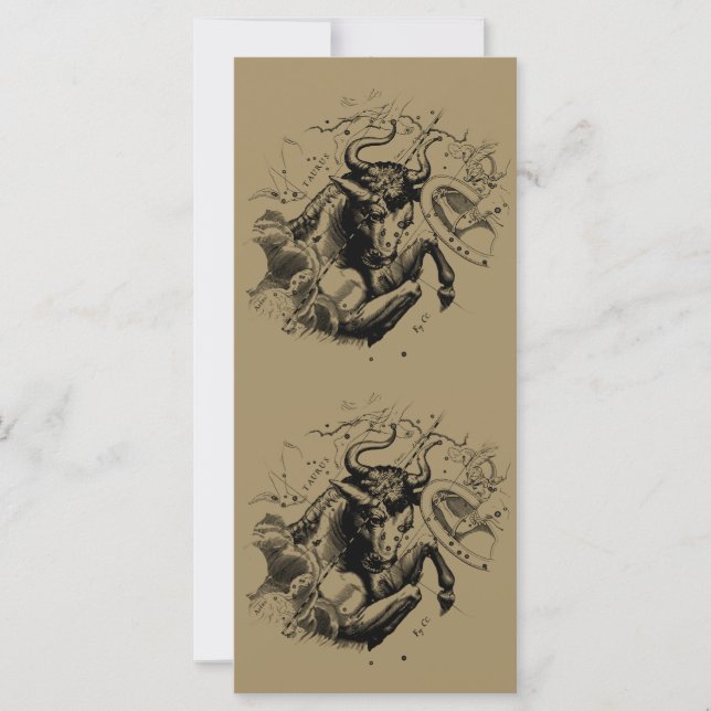 Taurus Constellation Hevelius 1690 Engrave (Framsida)