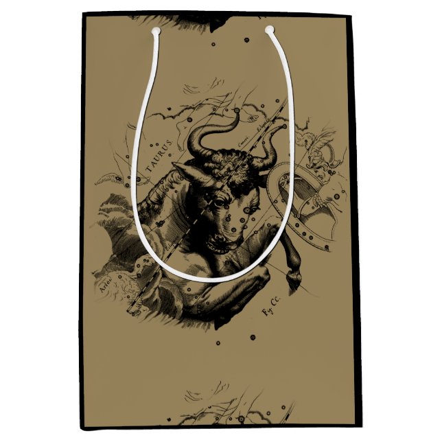 Taurus Constellation Hevelius 1690 Engrave (Framsidan)