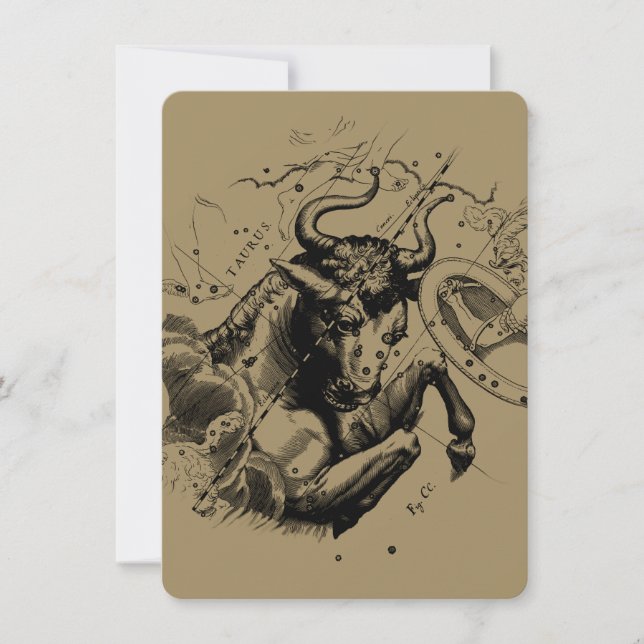 Taurus Constellation Hevelius 1690 Engrave (Framsida)