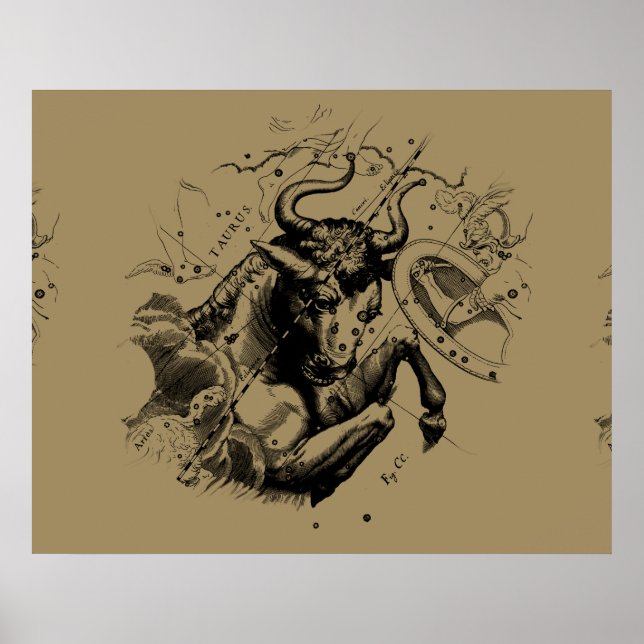Taurus Constellation Hevelius 1690 Engrave Poster (Framsidan)