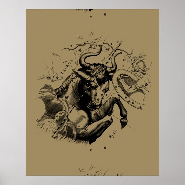 Taurus Constellation Hevelius 1690 Engrave Poster (Framsidan)