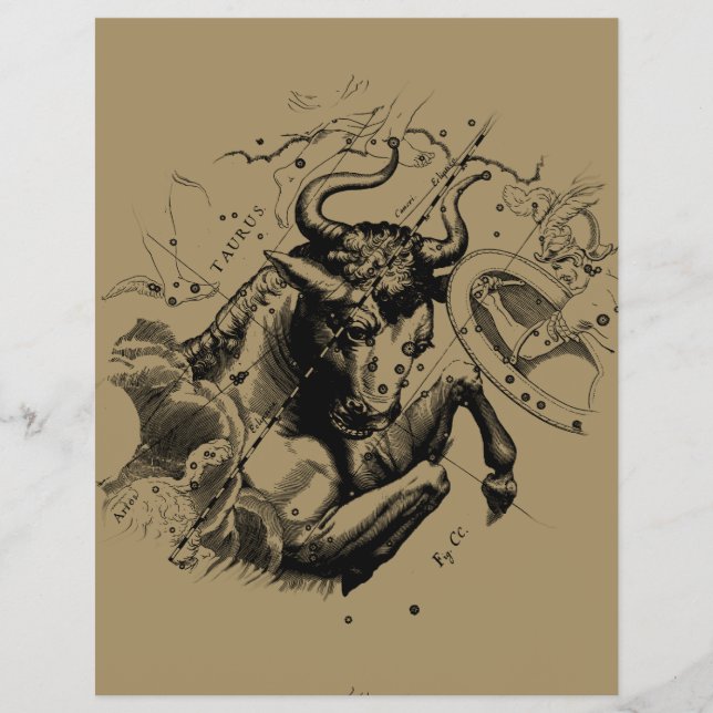 Taurus Constellation Hevelius 1690 Engrave Reklamblad (Framsidan)