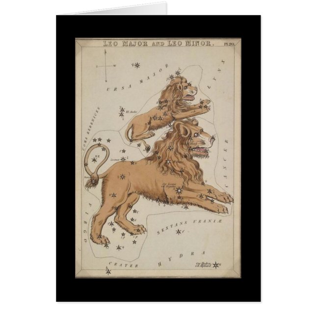 Taurus Greting Card Hälsningskort (Framsidan)