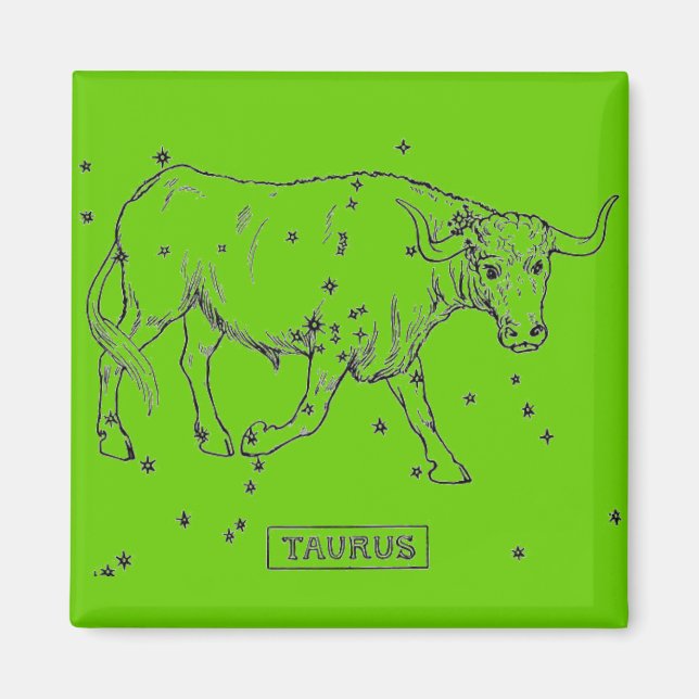 Taurus Magnet (Framsidan)