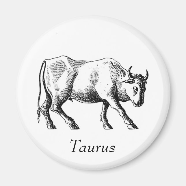 Taurus Magnet (Framsidan)