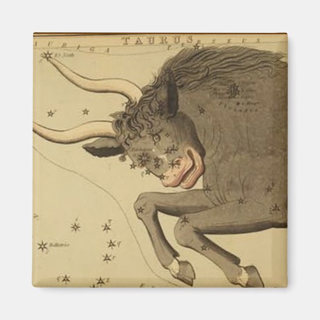 Taurus Magnet (Framsidan)