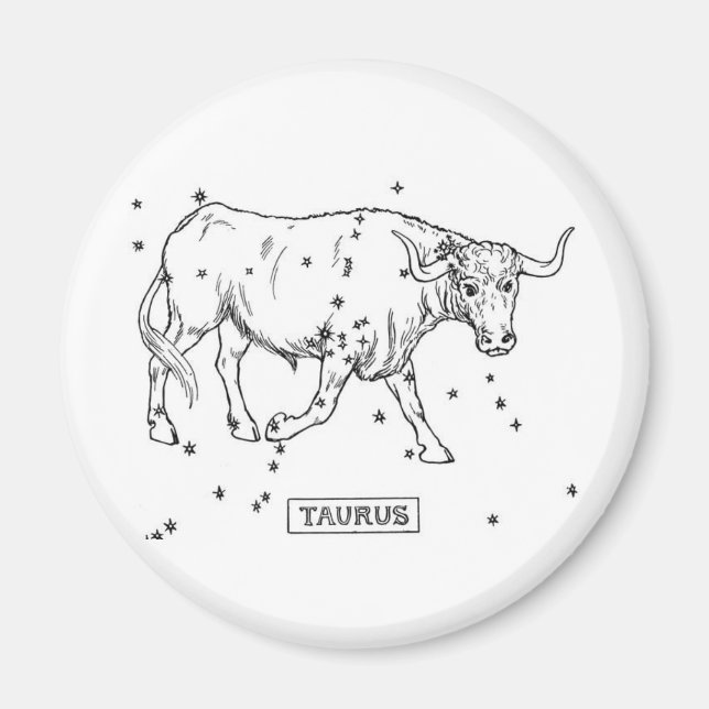 Taurus Magnet (Framsidan)