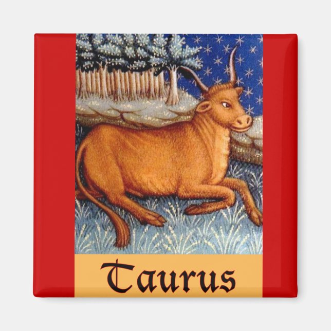 Taurus Magnet (Framsidan)