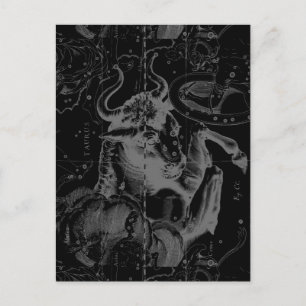Taurus Sign Constellation Hevelius circa 1690 Vykort