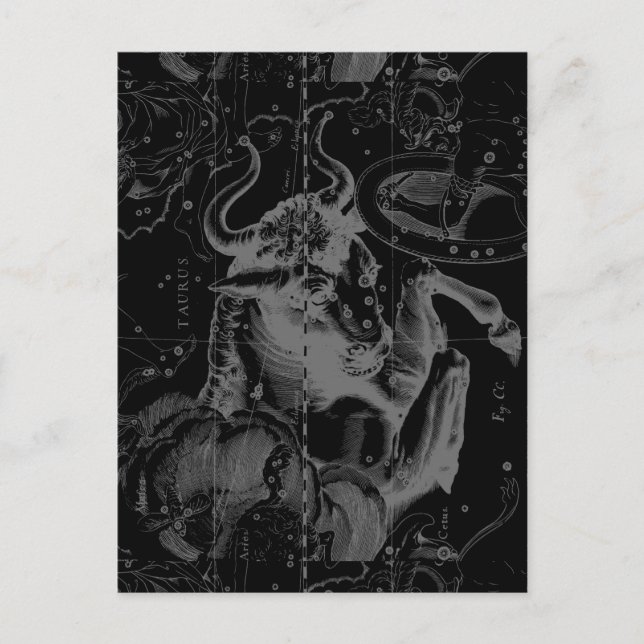 Taurus Sign Constellation Hevelius circa 1690 Vykort (Framsida)