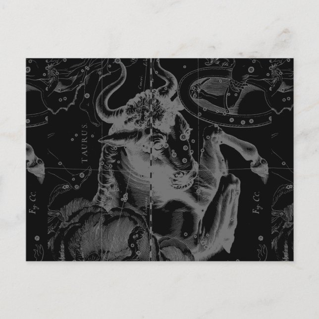 Taurus Sign Constellation Hevelius circa 1690 Vykort (Framsida)