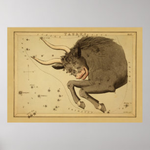 Taurus - Vintagens tecken på Zodiac-bilden Poster