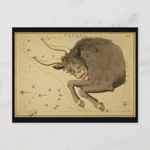Taurus Vykort