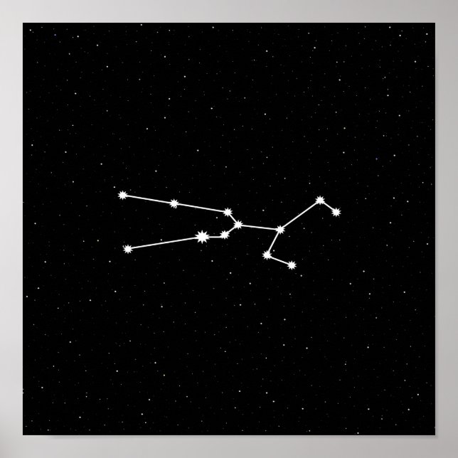 Taurus Zodiac Constellation Modern Black & White Poster (Framsidan)