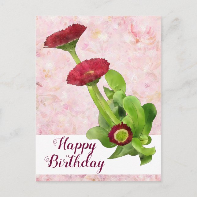 Tausendschön Vykort (Framsida)