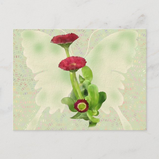 Tausendschön Vykort (Framsida)