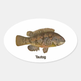 Tautog (svartfisk) ovalt klistermärke