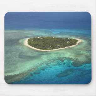 Tavarua Island och korallrev, Mamanuca-öarna Musmatta