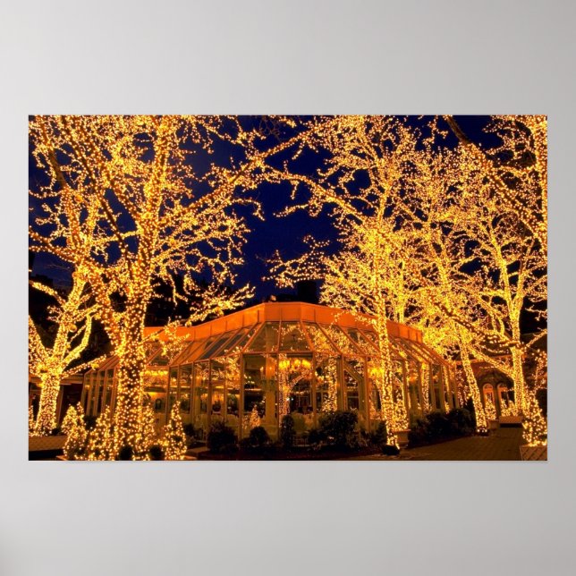 Tavern på Grönten, Central Park, New York City Poster (Framsidan)