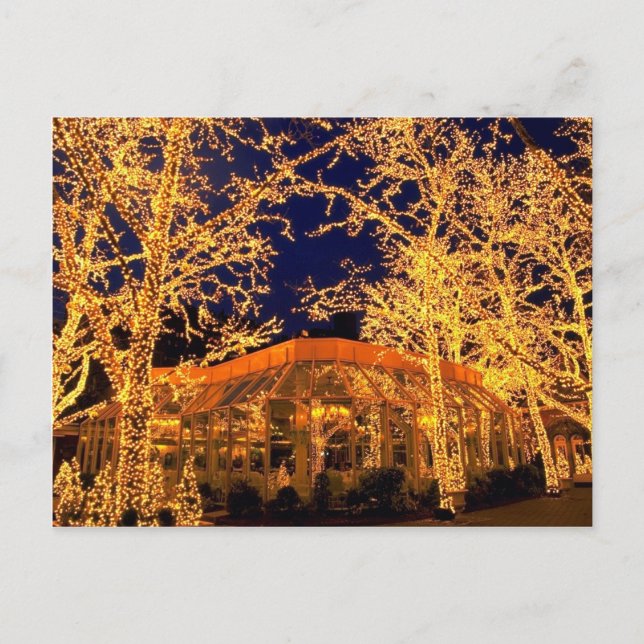 Tavern på Grönten, Central Park, New York City Vykort (Framsida)