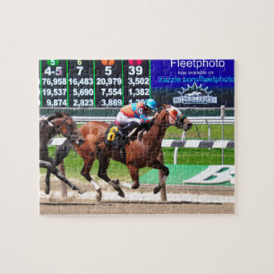Tävla från härliga Belmont Park Pussel
