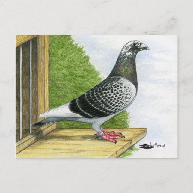 Tävla Homer på landningsstyrelsen Vykort (Framsida)