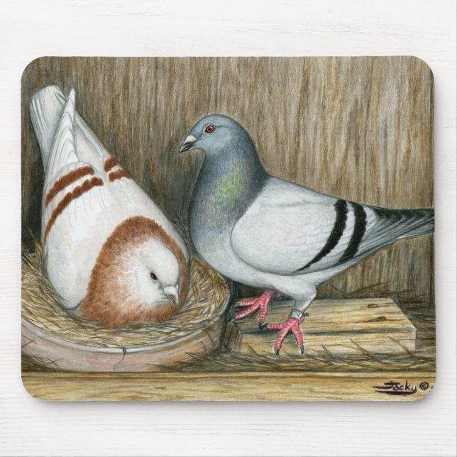 Tävla Homers Home Life Musmatta (Framsidan)