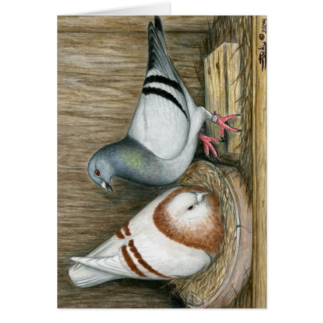 Tävla Homers Home Life OBS Kort (Framsidan)