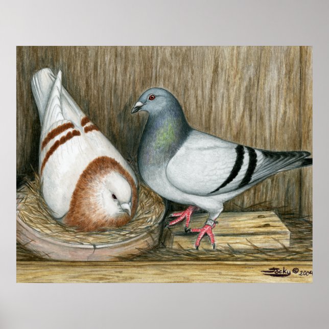 Tävla Homers Home Life Poster (Framsidan)