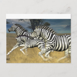 Tävla Rand - vykort för Zebra