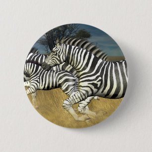 Tävla Rand - Zebra Knapp